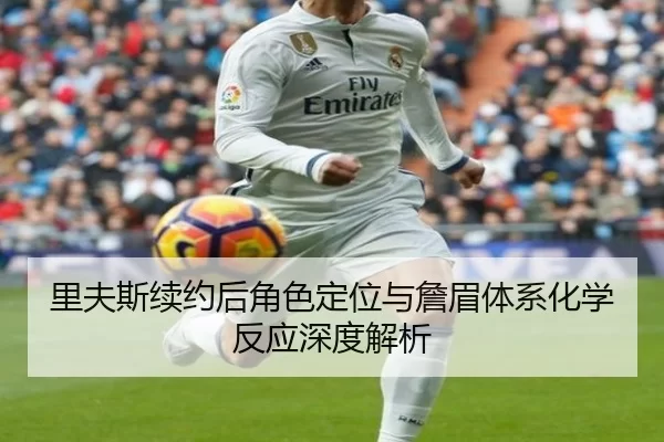 里夫斯续约后角色定位与詹眉体系化学反应深度解析