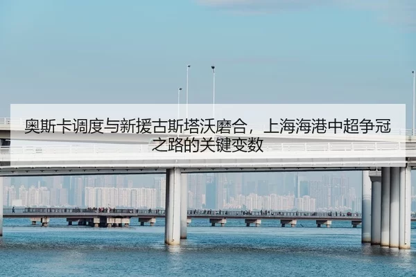 ao-si-ka-diao-du-yu-xin-yuan-gu-si-ta-wo-mo-he-shang-hai-hai-gang-zhong-chao-zheng-guan-zhi-lu-de-guan-jian-bian-shu-2-729.jpg